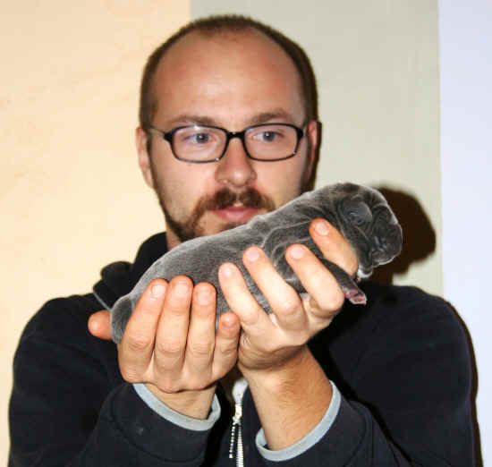 Federico Vinattieri con un cucciolo di mastino